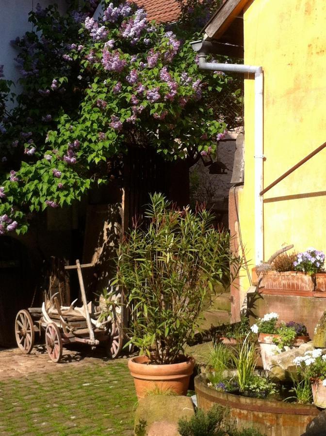 La Maison De Caroline Westhoffen المظهر الخارجي الصورة